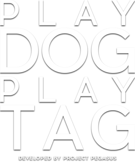 PLAY DOG PLAY TAG